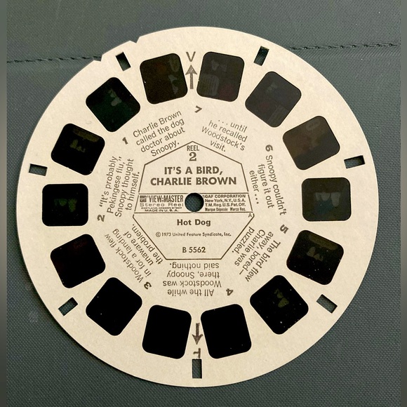Disney View Master. 
It’s a Bird, CHARLIE  BROWN. Reel Two - Picture 1 of 3